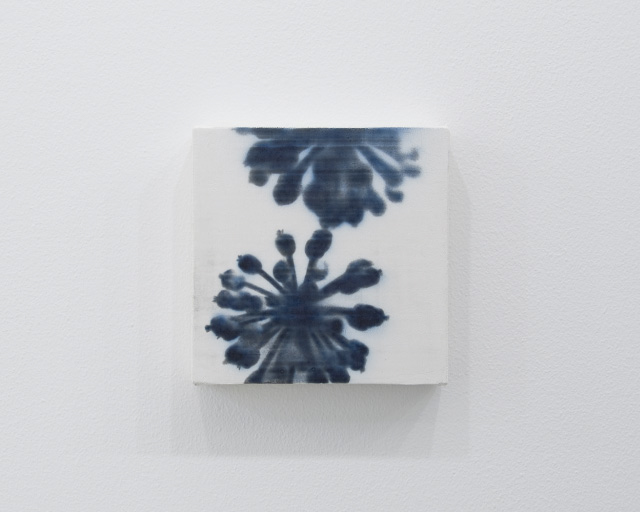 小塚康成 個展 2013
